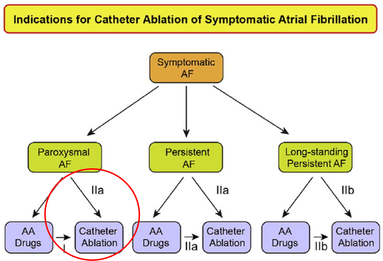 The 2024 Catheter Ablation for AFib Guidelines- what's new?